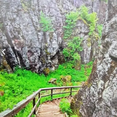 Homestay szállás Gesztenye Apartman *